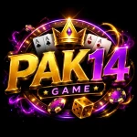 PAK14 Game Logo
